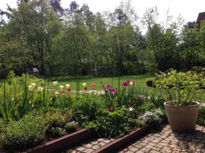 kastanienbeet_1404.jpg