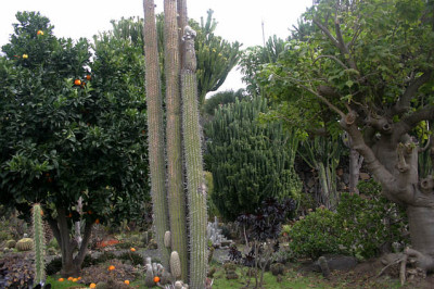 Palmex_II_1708.jpg