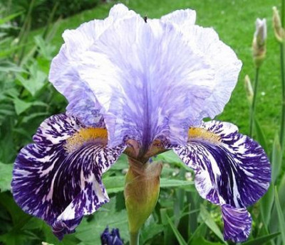 IMG_3583_small.jpg