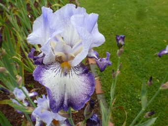 P1030028.JPG