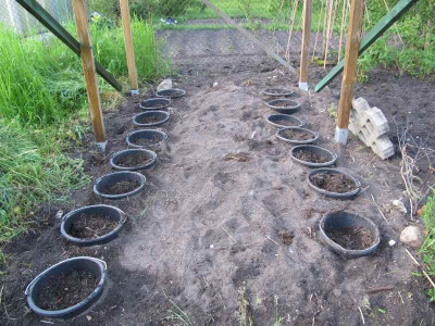 Eimer_fur_Tomaten.jpg