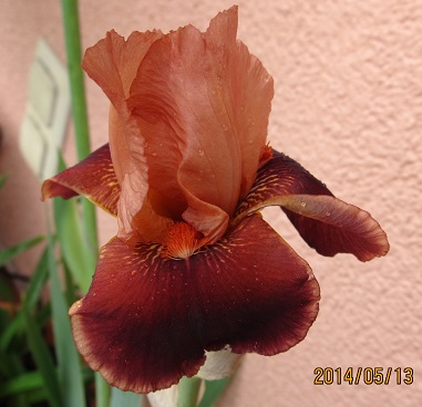 IMG_3675_small.JPG