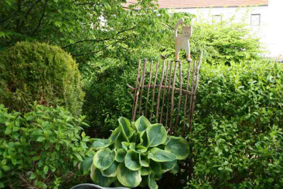 Hosta9914a.jpg
