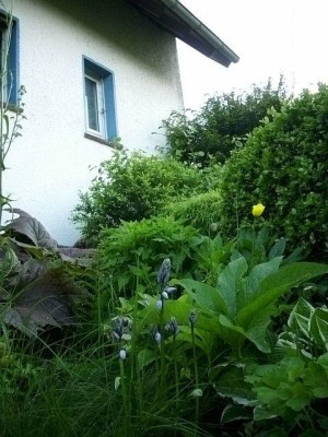 2014_von_der_terrasse_links.jpg