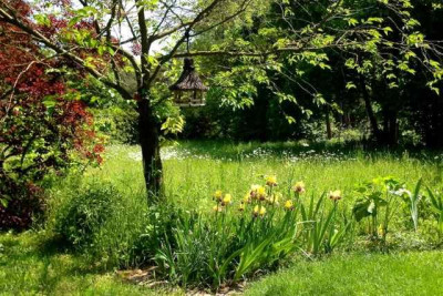 20140520_wiese.jpg