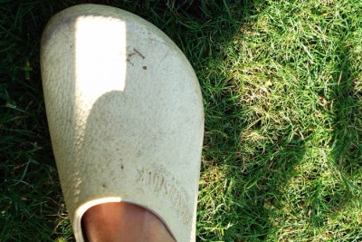Ein_Gartenschuh.jpg
