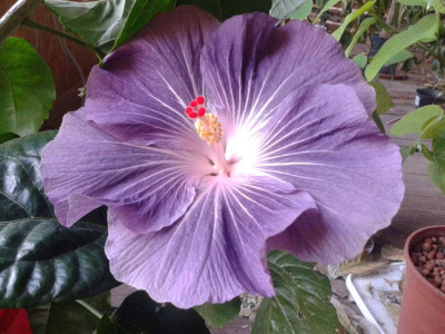20140518_115709.jpg