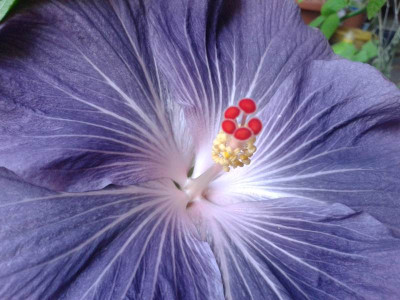20140518_115733.jpg