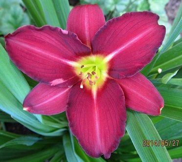 IMG_3719_small.jpg
