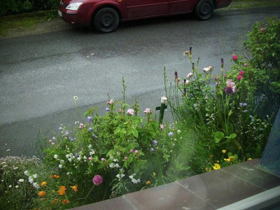 2014__blick_aus_kuchenfenster_2.jpg