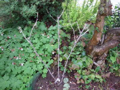 DSCF7564.JPG