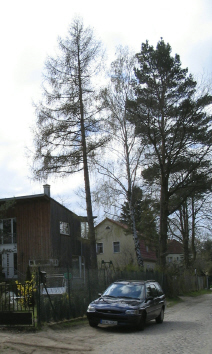 Baume2_1_3_1.JPG