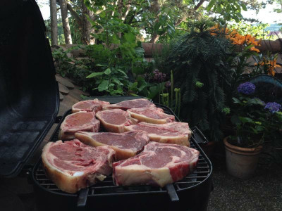 fiepshowgrillfleisch_zg2.jpg