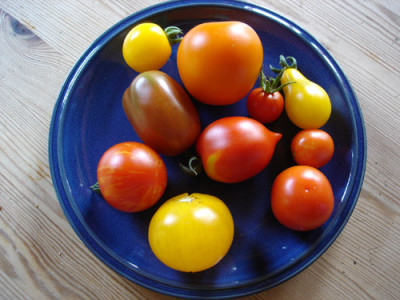 buntetomaten.jpg