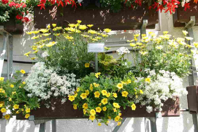 verkleinert-014.jpg