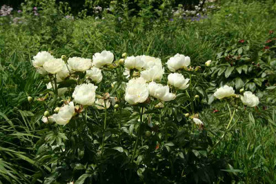 verkleinert-017.jpg