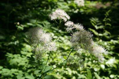 verkleinert-052.jpg
