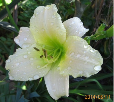 IMG_3748_small.JPG