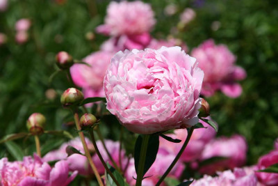 verkleinert-108.jpg