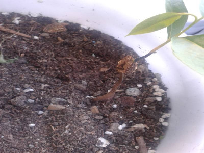 20140605_192721.jpg