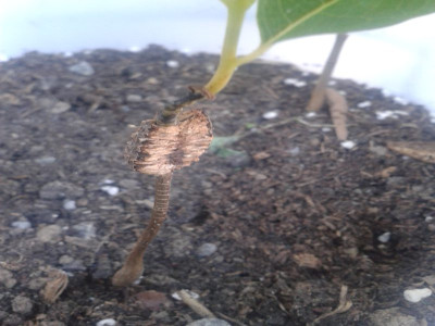20140605_192837.jpg