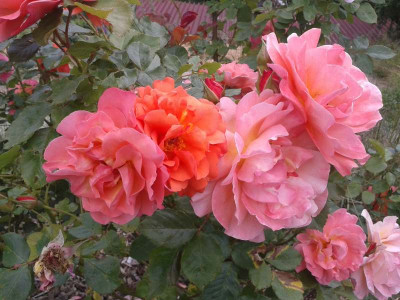 20140616_134940.jpg