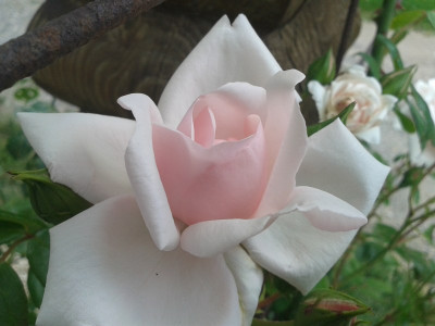 20140616_134754.jpg