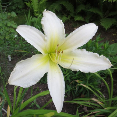 Berleyer_Sweet_Bianca_0370.jpg