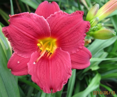 IMG_3949_small.JPG