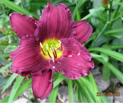 IMG_3972_small.JPG