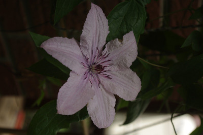 IMGP9047.jpg