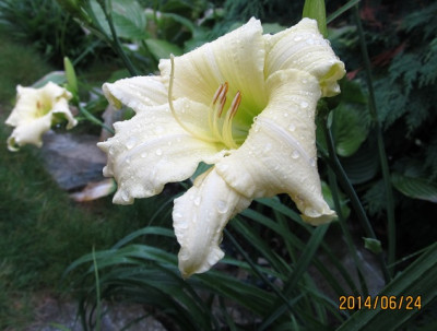 IMG_4144_small.JPG