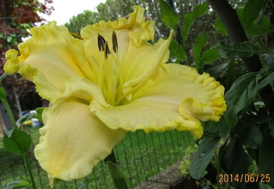 IMG_4188_small.JPG