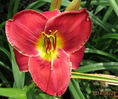 IMG_4182_small.JPG