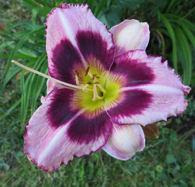 Tiefer_See_04211.jpg