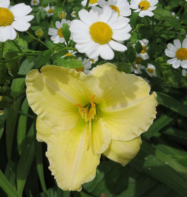 Yamashita_0428.jpg