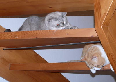 zwei_haben_den_durchblick_2014-06-30_710_80k.jpg