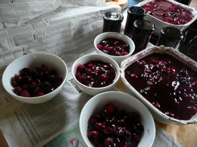 ernte_140629.jpg