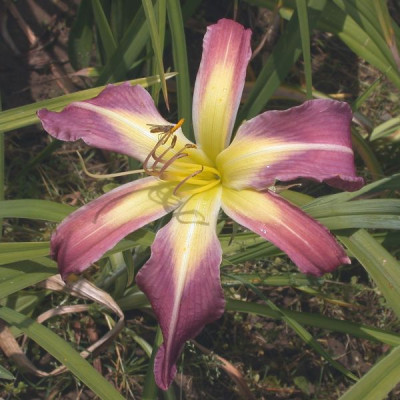 GT05-KL10.15_002.jpg