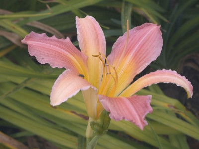 GT05-KL30.7_002.jpg