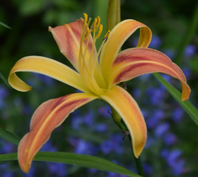 020714_twiggy.jpg