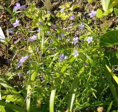 unbekannt-050714.jpg