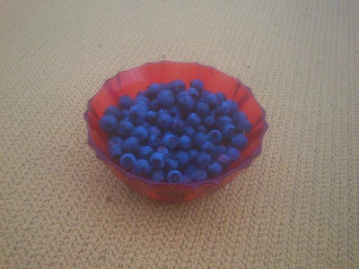 blaube.jpg