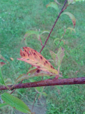 20140709_183018.jpg
