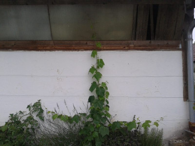 20140709_184244.jpg