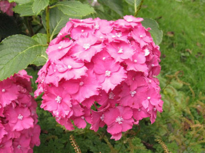 Parzifal_1024x768.jpg