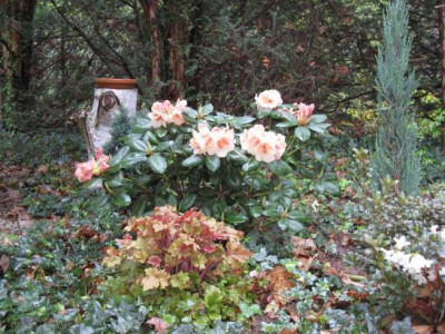 Marmelade2013_05.JPG