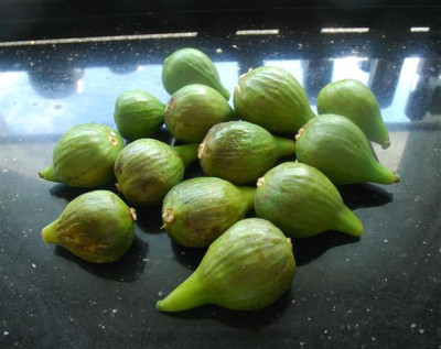 D0420a_Small.jpg