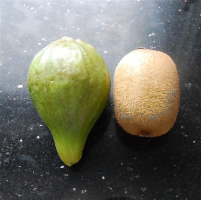 D0422a_Small.jpg