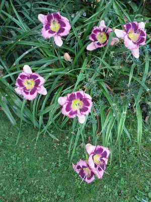 Tiefer_See_07831.jpg
